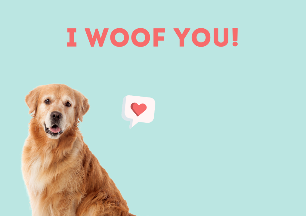 How to Tell That Your Pet Loves You